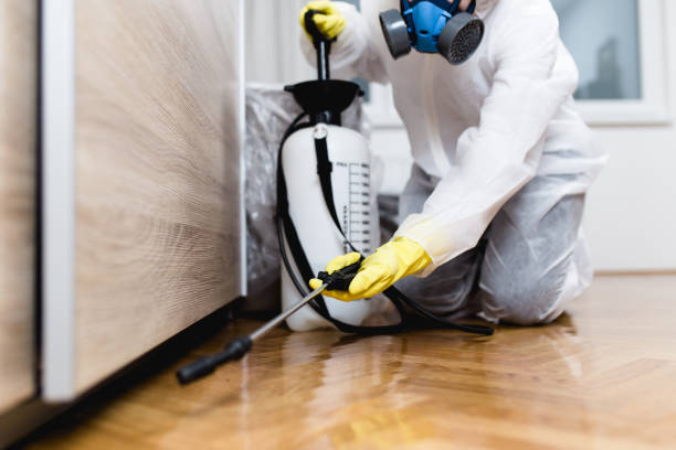 Best Pest Control Treatment  in Enon, OH