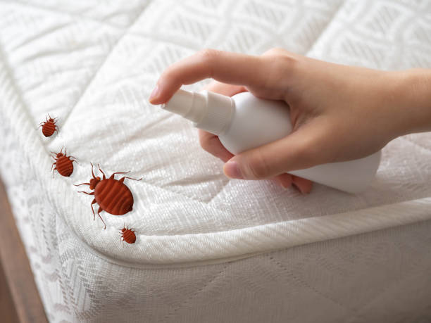 Best Pest Control for Restaurants  in Enon, OH